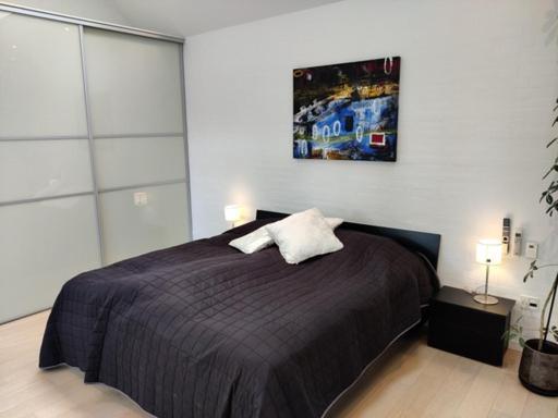 Vaerelser I Midtbyen - 117 M2 Apartment Herning Esterno foto